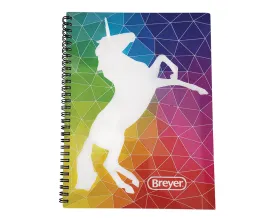 Geo Rainbow Notebook