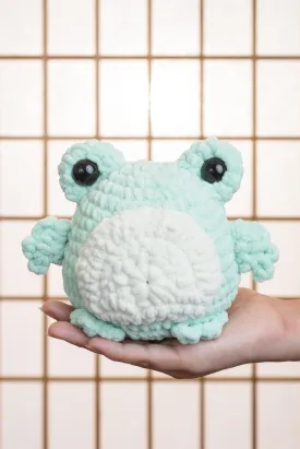 Level 1: Tiktok Frog Workshop