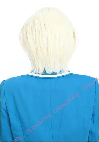 "Ensemble Stars!" Eichi Tenshouin style cosplay wig