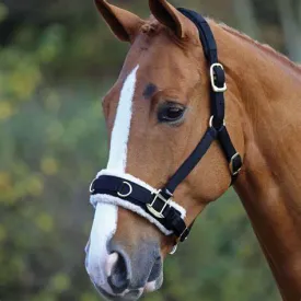 Shires Fleece Lined Lunge Cavesson