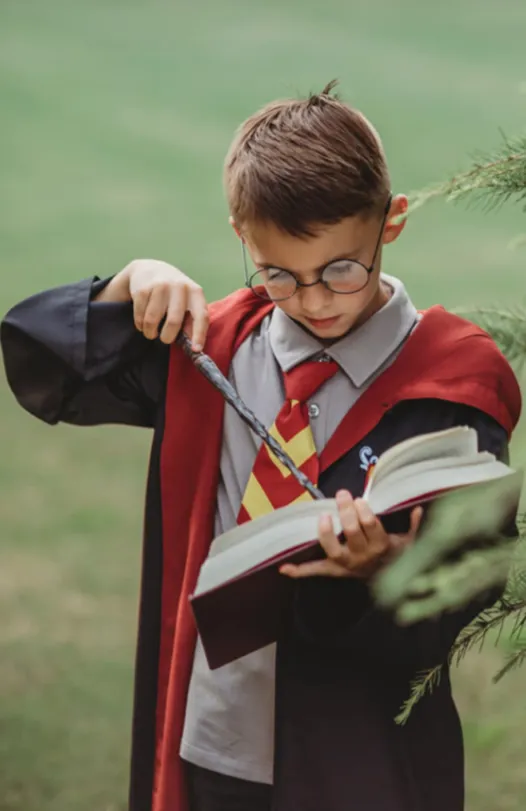 Wizard Ensemble